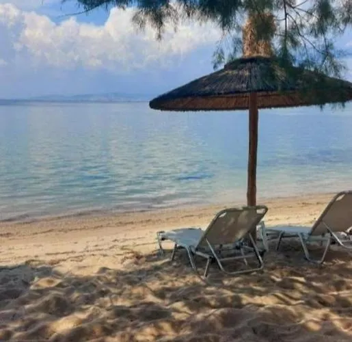 Sun Sea No 5 Sea View Apartamento